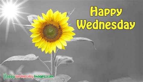 Happy Wednesday Image Download @ HappyWednesDayImages.com