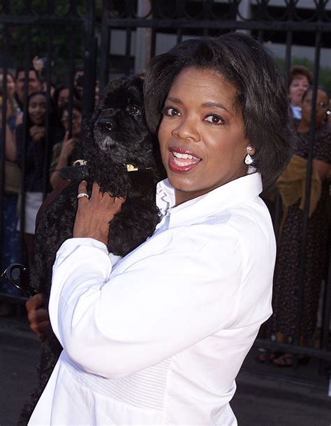 Hard Knock Life: Oprah Winfrey s Amazing Rags to Riches ...