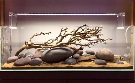 hardscape aquarium   Google keresés | Akvárium | Pinterest ...