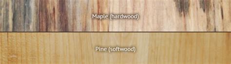 Hardwood vs Softwood   Difference and Comparison | Diffen