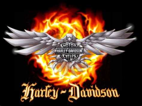 harley davidson motorcycles | Harley Davidson