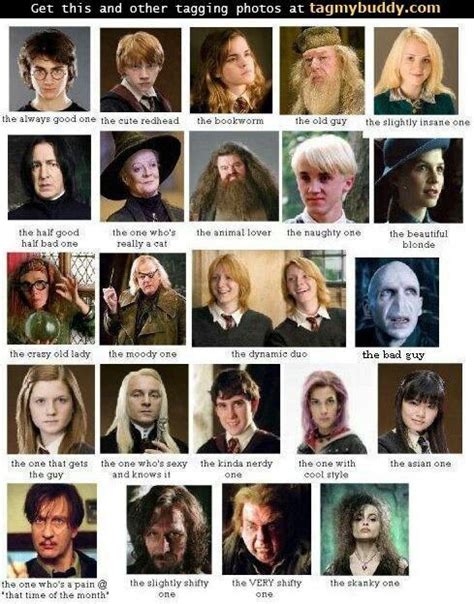 Harry Potter Characters | People | Pinterest | Harry ...