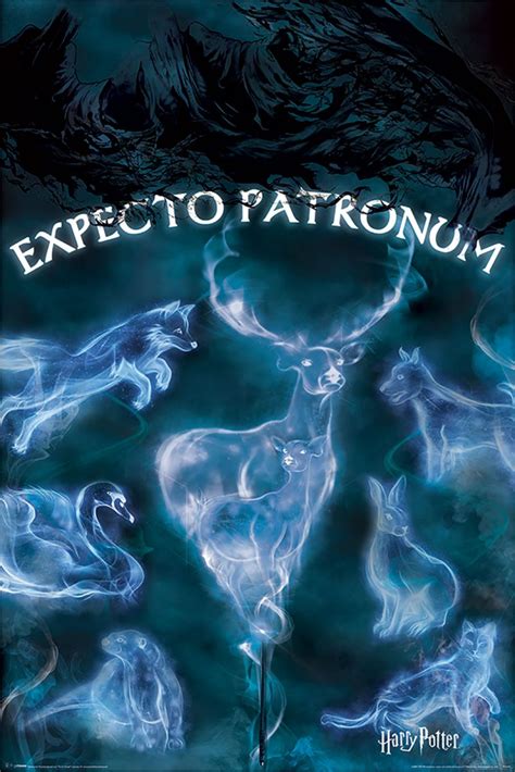 Harry Potter Expecto Patronum   plakat z filmu | Sklep ...