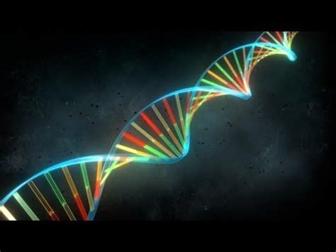HD  ADN: estructura, duplicación, traducción y ...