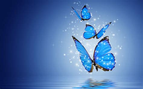 hd wallpapers for desktop butterflies   Bing images ...