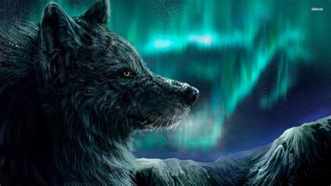 HD Wolf Wallpapers 1080p  71+ images