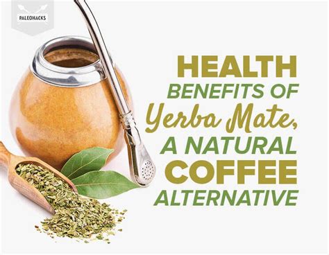 Health Benefits of Yerba Mate, a Natural Coffee Alternative