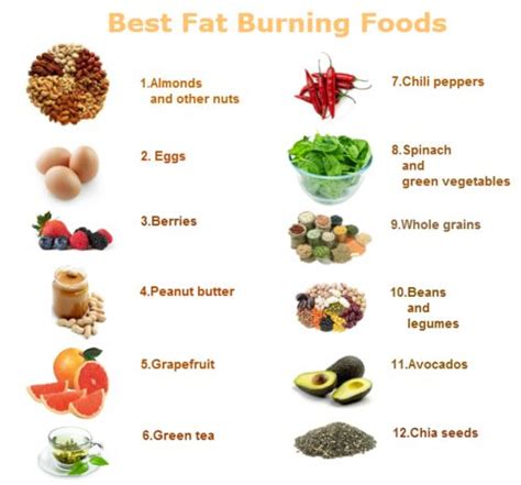 Healthy Fat Burning Foods and advice to help you lose ...