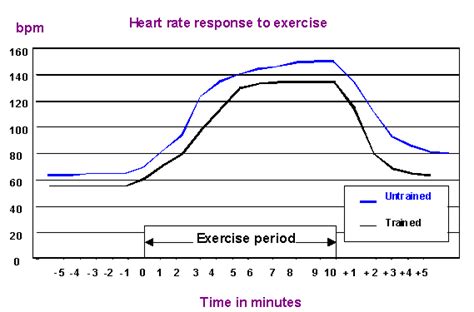 Heart Rate   Body Systems and energy for physical activity