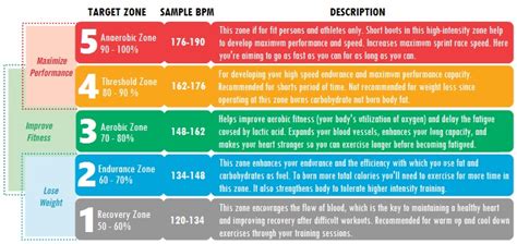 Heart Rate Zones for Running   Use Them To Run Better ...