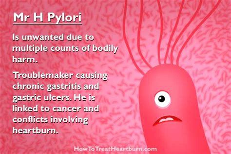 Helicobacter Pylori and Heartburn   How to Treat Heartburn