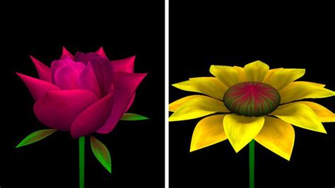 Hello Flower, diseña flores tridimensionales