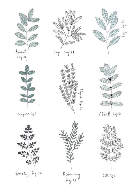 Herb Print. By Ryn Frank | Design Inspiration | Pinterest ...
