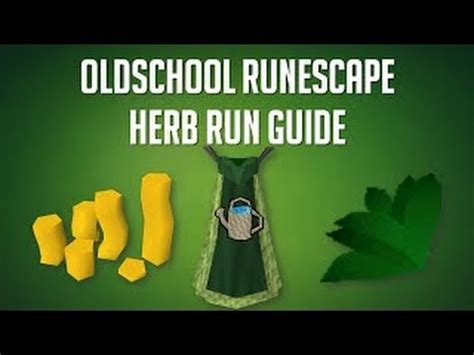 Herb run guide OSRS   YouTube