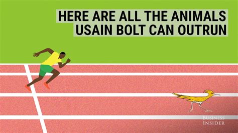 Here are all the animals Usain Bolt can outrun   YouTube