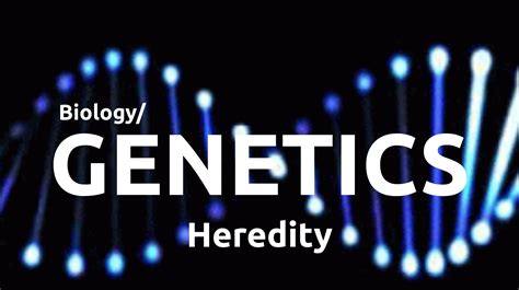 Heredity And Genetics | www.pixshark.com   Images ...