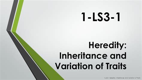 Heredity: Inheritance and Variation of Traits   ppt video ...