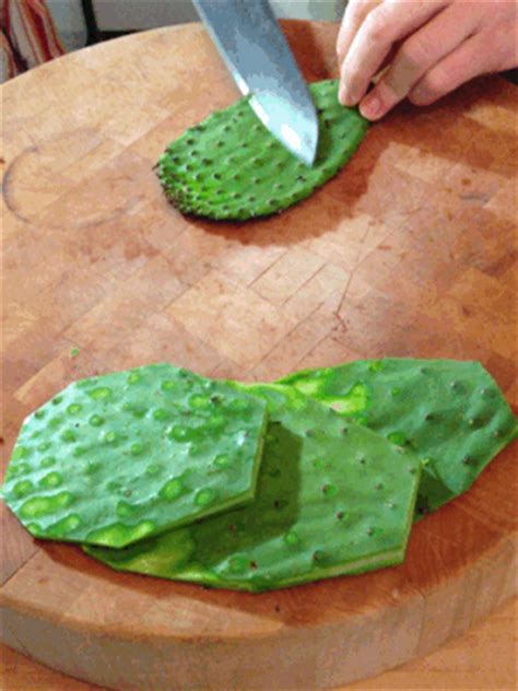 Here’s How: Prep Nopales for Tacos | Blue Apron Blog