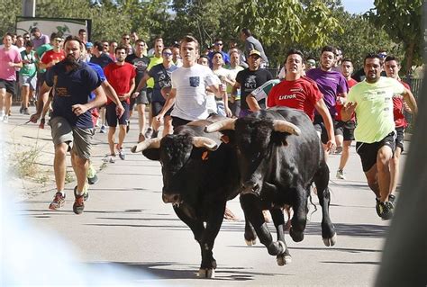 Heridos por asta de toro   La Tribuna de Albacete