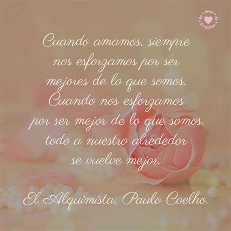 hermosa rosa con bella frase de El Alquimista de Paulo Coelho