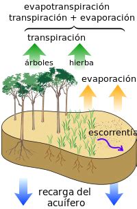 Hidrología agrícola   Wikipedia, la enciclopedia libre