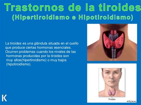 Hipotiroidismo e hipertiroidismo