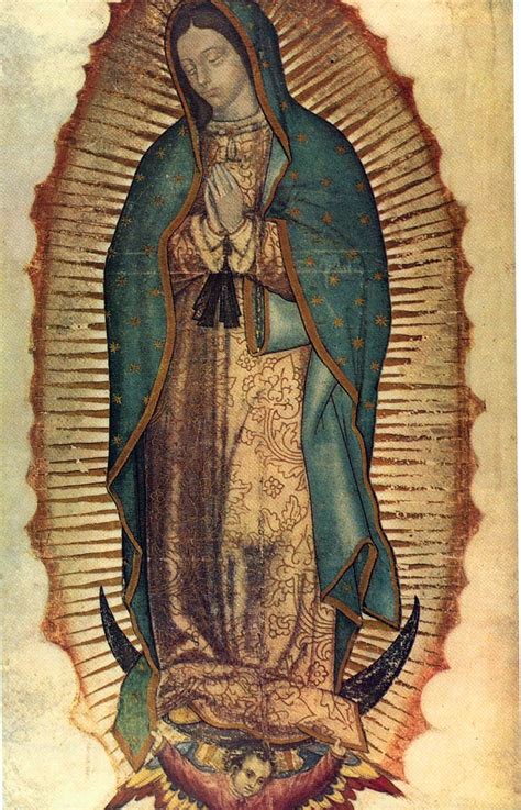 Historia de la Virgen de Guadalupe  1531  | Legión María