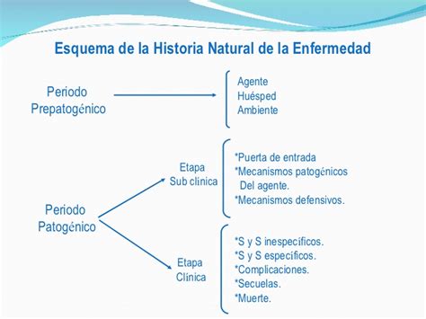 Historia natural de la enfermedad.