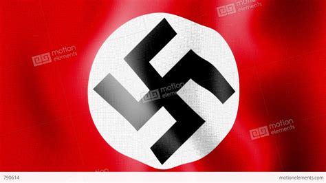 Hitler With Swastika Flag Pictures to Pin on Pinterest ...