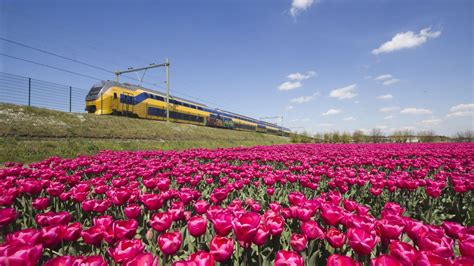 Holanda Tulip Estación de tren, disfrutar de su viaje en ...