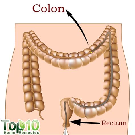 Home Remedies for Colon Cleansing | Top 10 Home Remedies