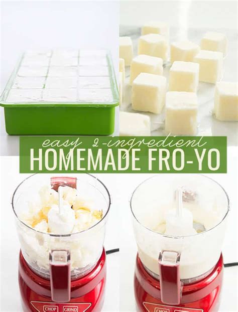 Homemade Frozen Yogurt  2 Ingredients  ⋆ Great gluten free ...