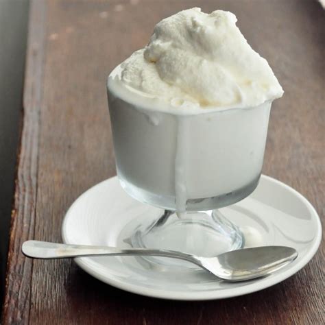 Homemade Frozen Yogurt | Foods of Our Lives