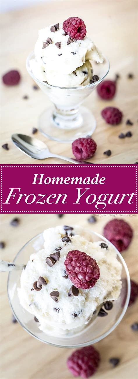 Homemade Frozen Yogurt Recipe   a simple 2 ingredient dessert