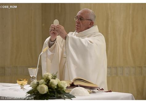 Homilía del Papa: el misionero ‘quema’ su vida por Jesús ...