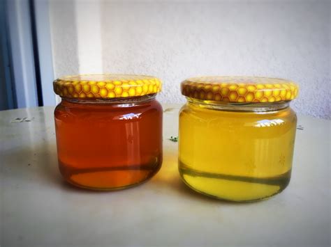 Honey color what does it mean? MyBeeLine