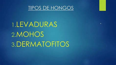 HONGOS   DEFINICIÓN Y TIPOS   TEMA 2   YouTube