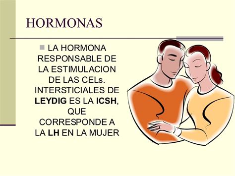 Hormonas Sexuales Masculinas