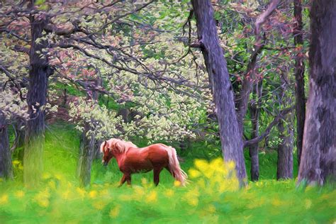 Horse Running In Spring Woods Painting by Vicki France