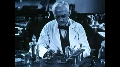 How Alexander Fleming Accidentally Discovered Penicillin ...