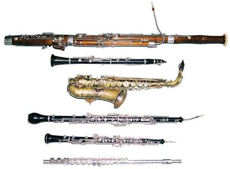 How Do Woodwind Instruments Work?