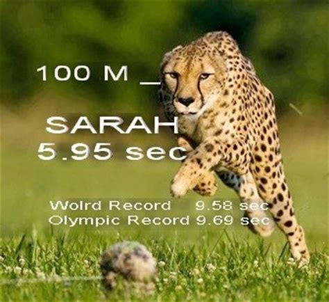 How fast can a cheetah run a 100 meter dash?   Quora