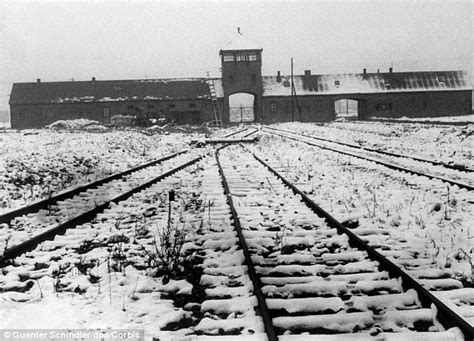 How hundreds of Jews escaped Nazi concentration camps ...