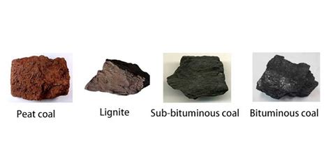 How Is Coal Processed? |Ensuring the Coal Sample ...