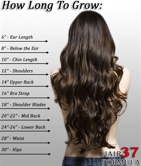 How Long Does It Take For Your Hair To Grow