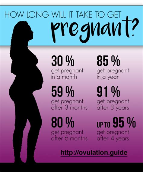 How Long It Takes To Get Pregnant | Ovulation Guide