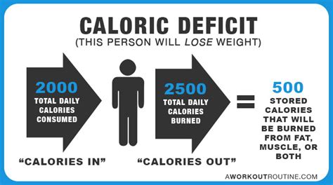 How Many Calories Should I Eat A Day To Lose Weight or ...