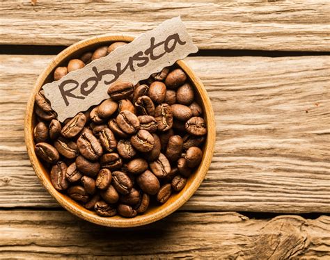 How Many Types of Coffee Beans?   Just Another Coffee Blog