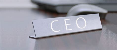 How to Become the CEO of Your Career   Knowledge@Wharton
