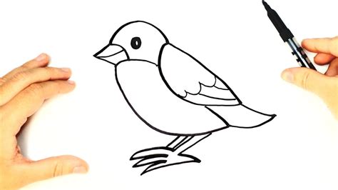 How to draw a Bird for kids | Bird Drawing Lesson Step by ...